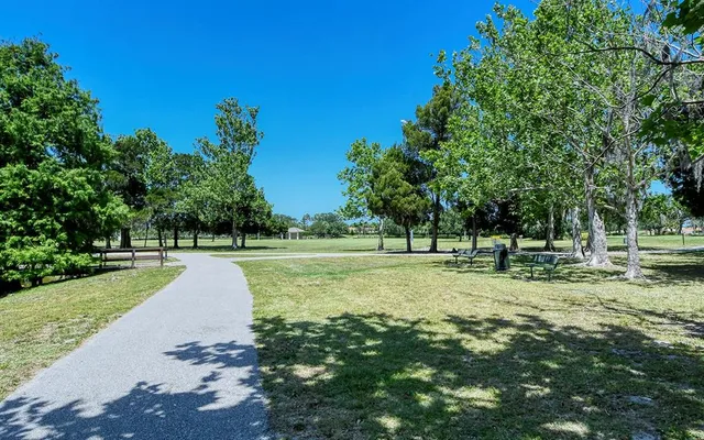 a view of a park with large trees