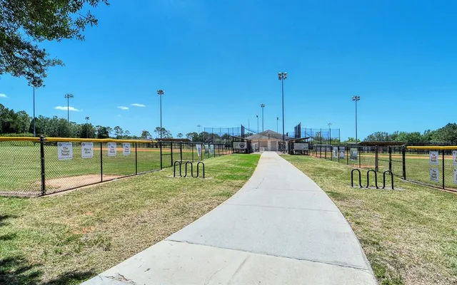 a view of a park with large trees