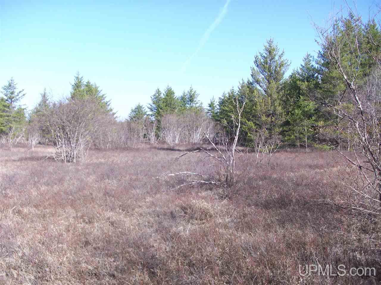 Tbd Off Eg Road Gwinn, MI 49841 - Photo 11 of 11