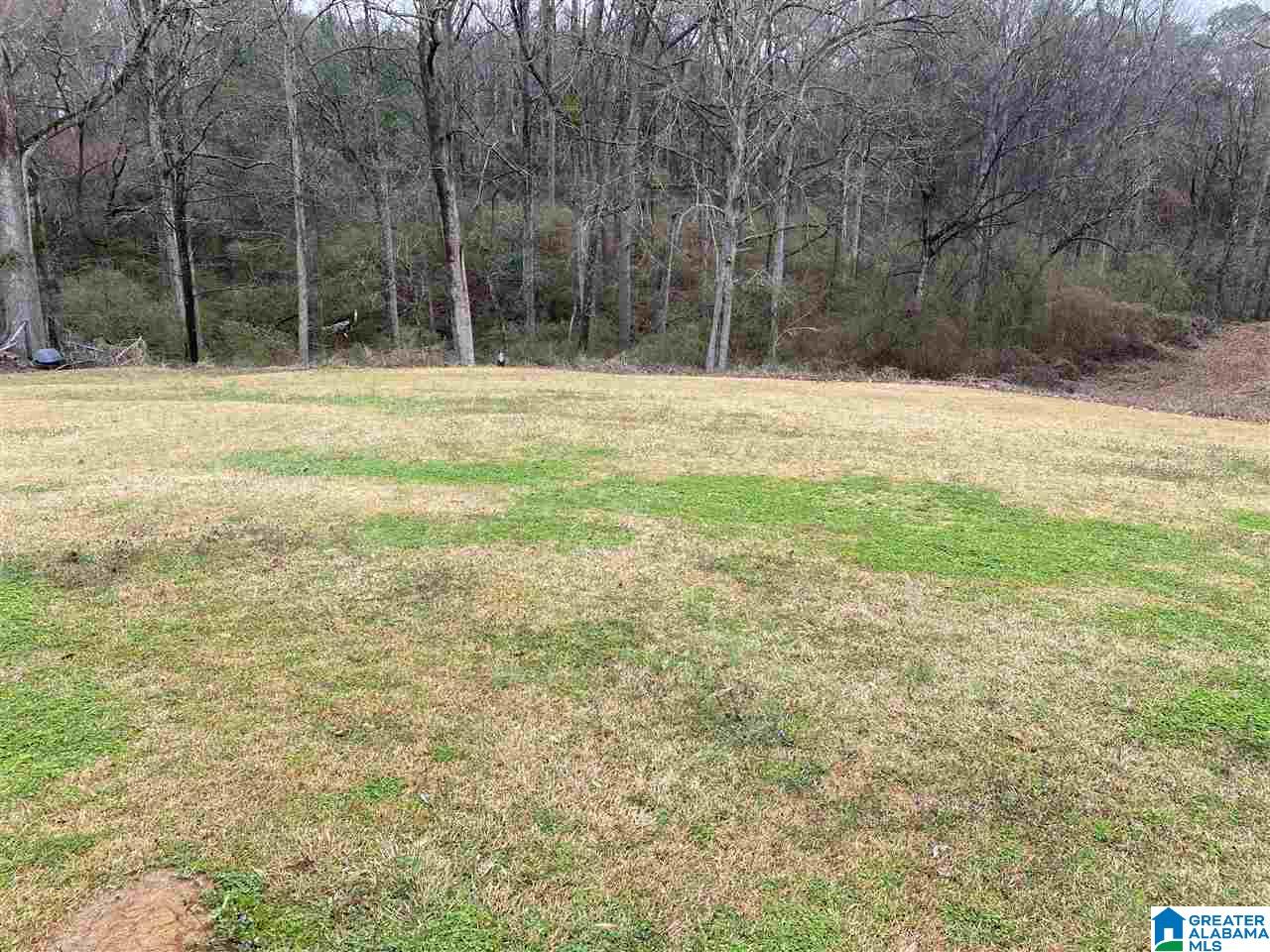 6502 Early Memory Lane Bessemer, AL 35023 - Photo 22 of 26