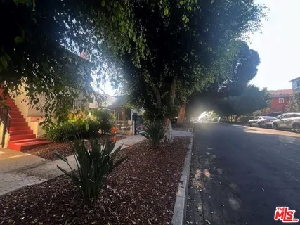 a view of a yard with plants and trees