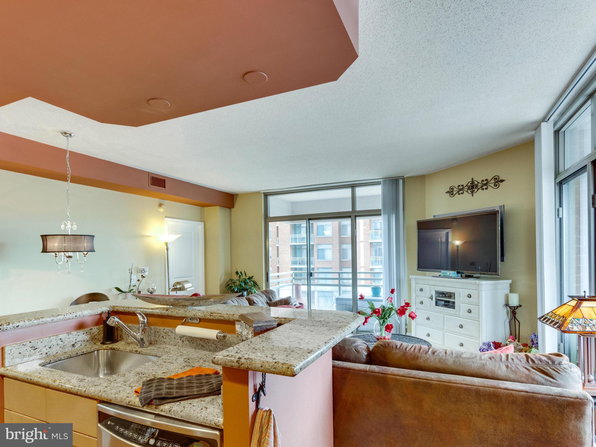 3650 South Glebe Road, Unit 443 Arlington, VA 22202 - Photo 12 of 30 Living Room
