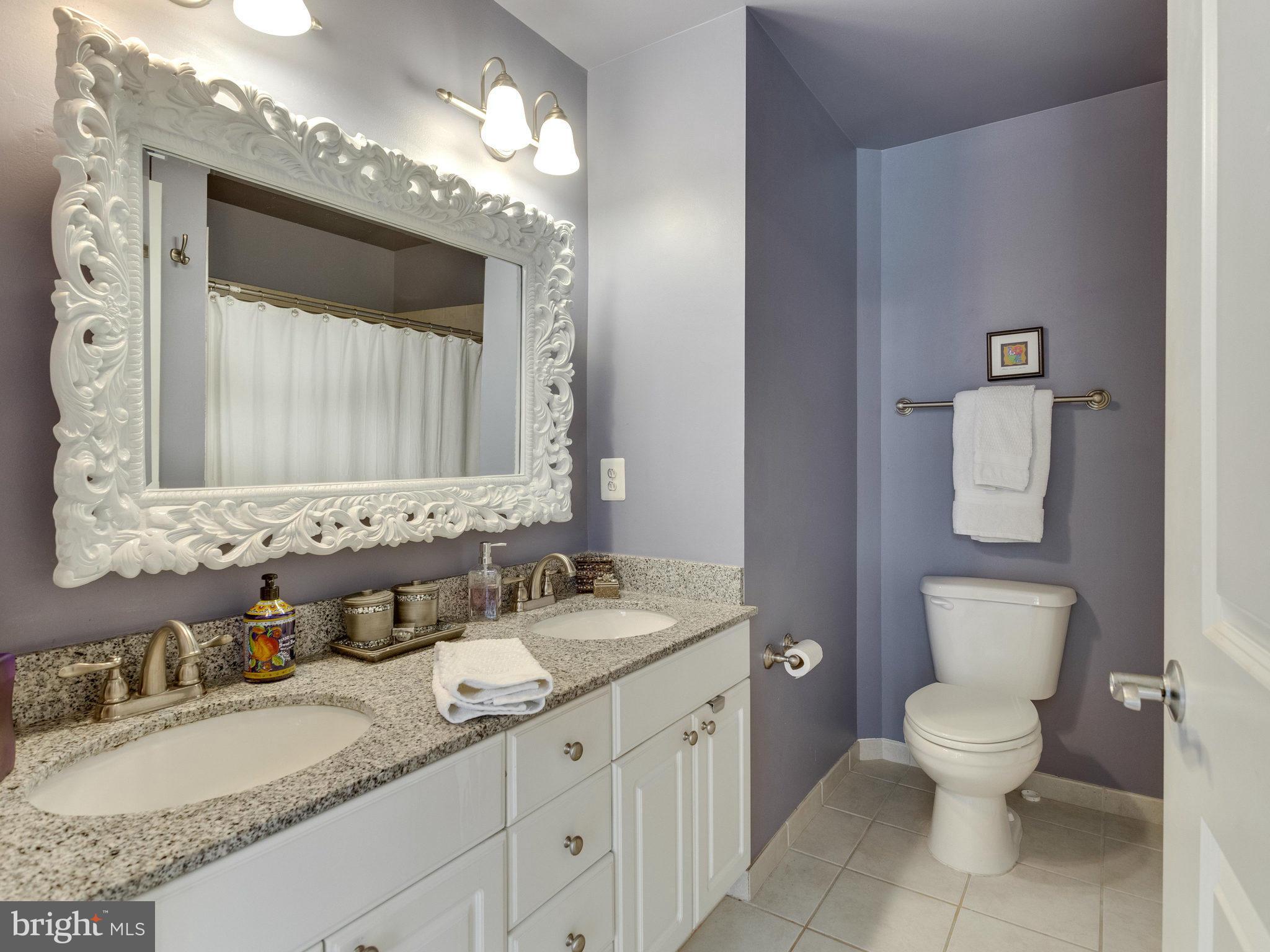 3650 South Glebe Road, Unit 443 Arlington, VA 22202 - Photo 19 of 30 Bath (Master)