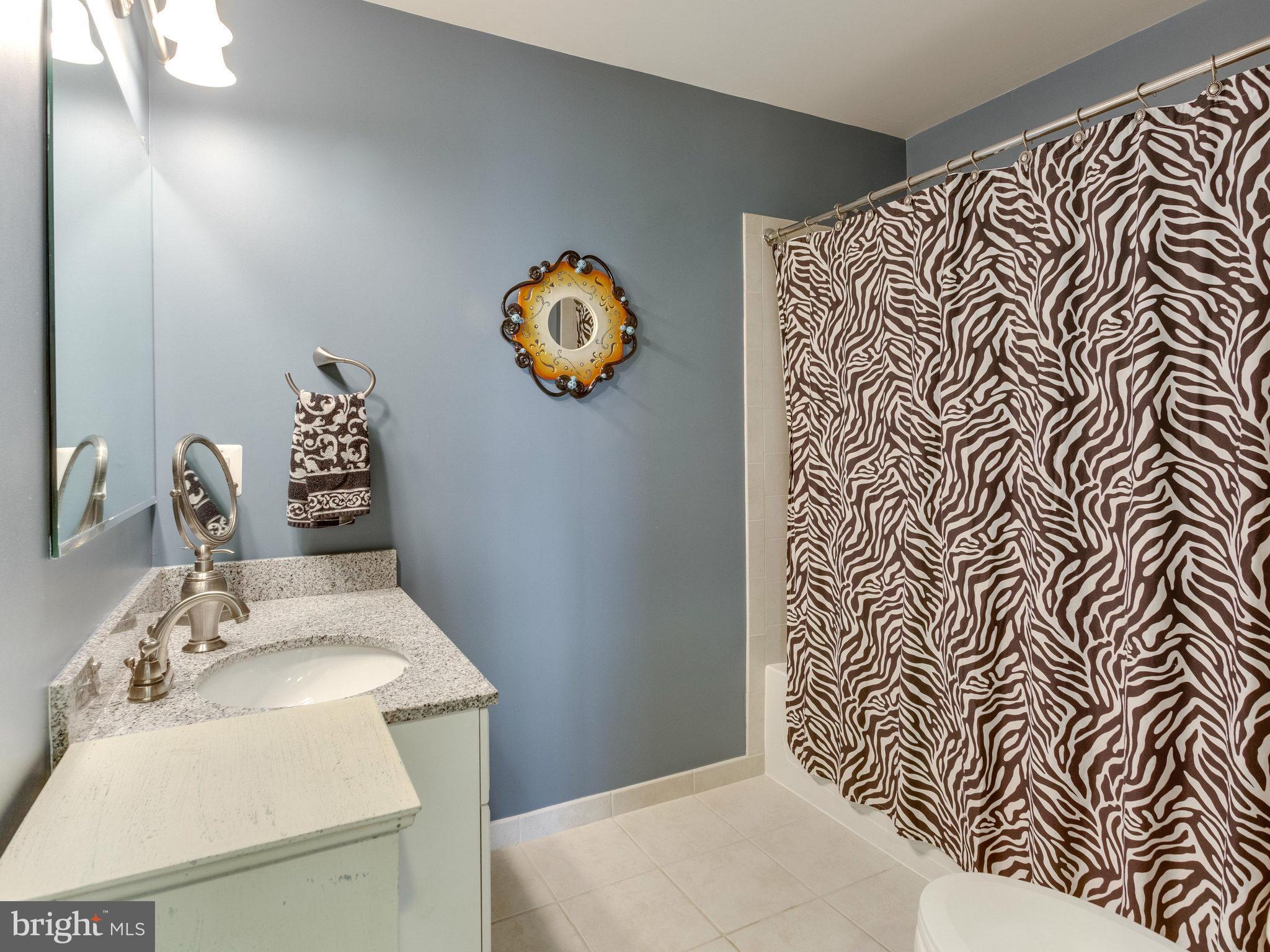 3650 South Glebe Road, Unit 443 Arlington, VA 22202 - Photo 8 of 30 Bath (Master) 2