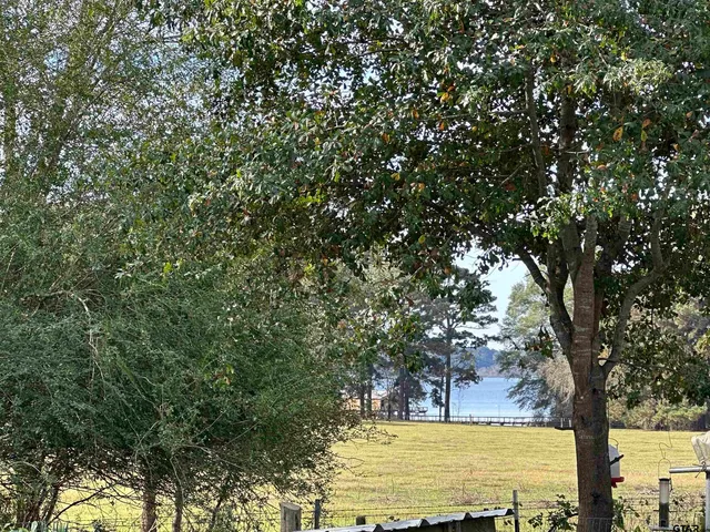 a view of a large tree with lawn chairs under an umbrella