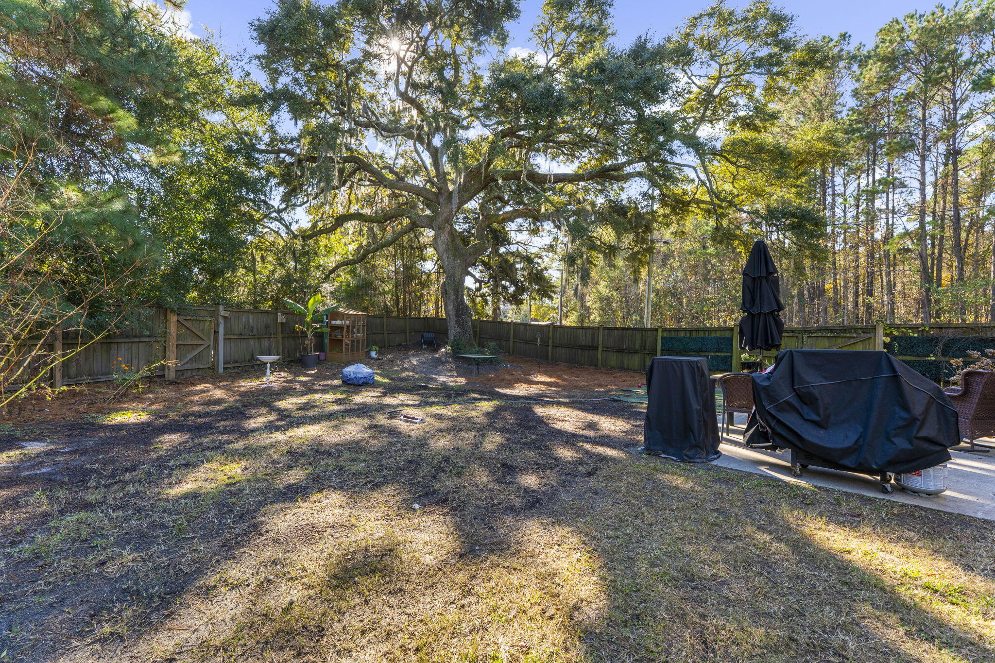 1301 Merchant Court Mount Pleasant, SC 29466 - Photo 40 of 46 36-web-or-mls-DSC04325