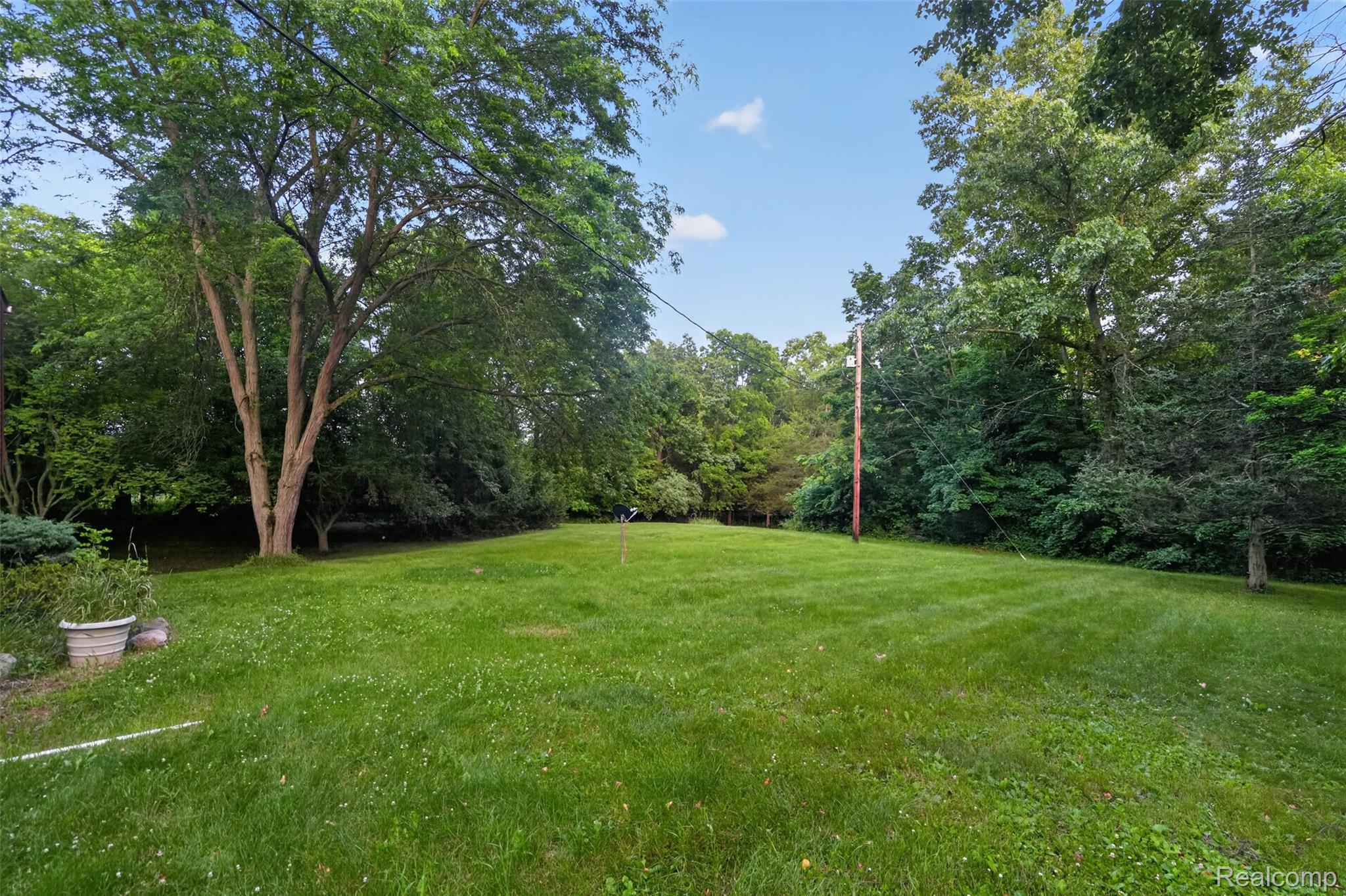 16955 English Road Manchester, MI 48158 - Photo 35 of 37 Expansive grassy area featuring mature trees and a clear perimeter of foliage