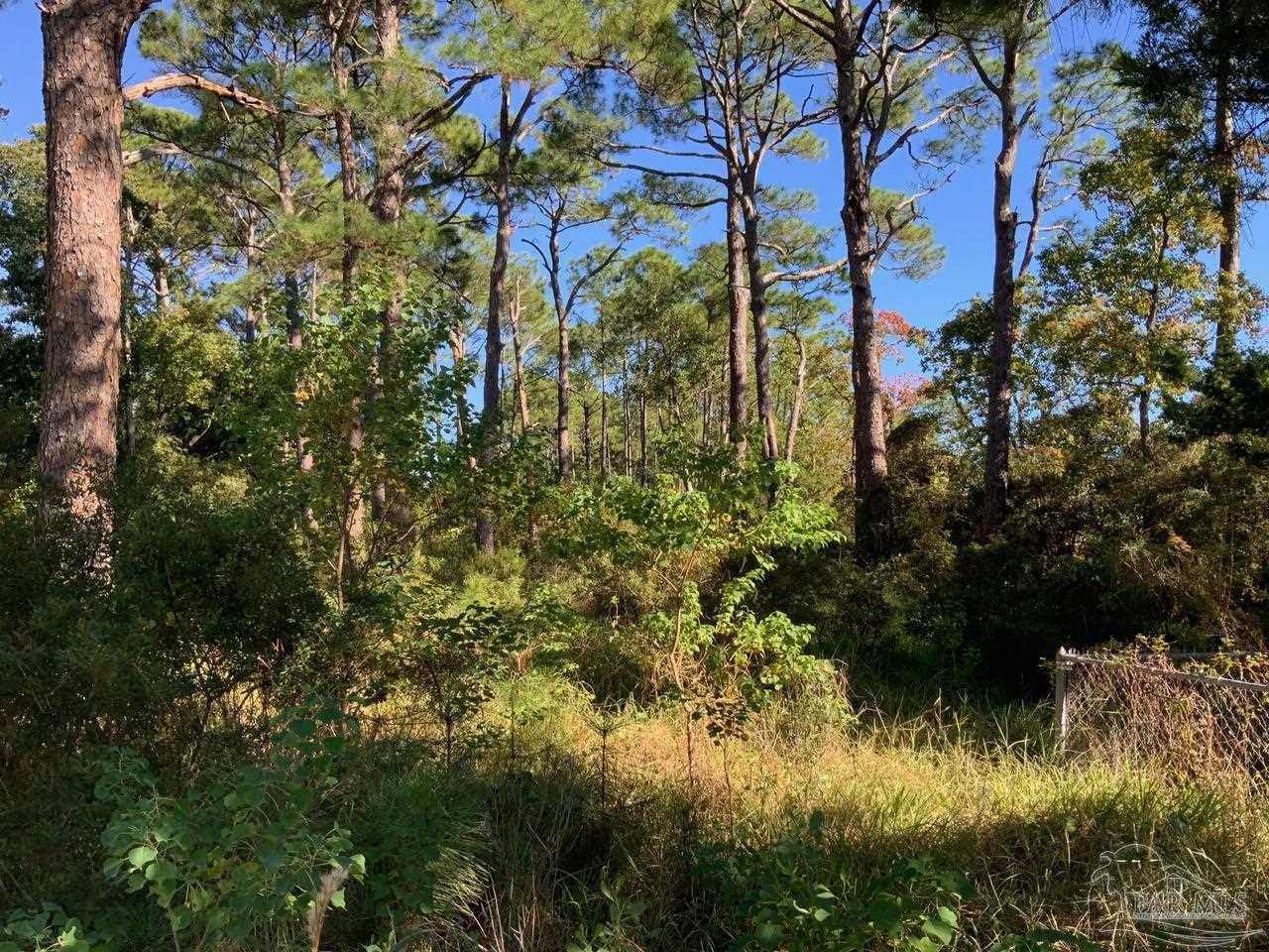 5520 Cruzat Way Pensacola, FL 32507 - Photo 11 of 15