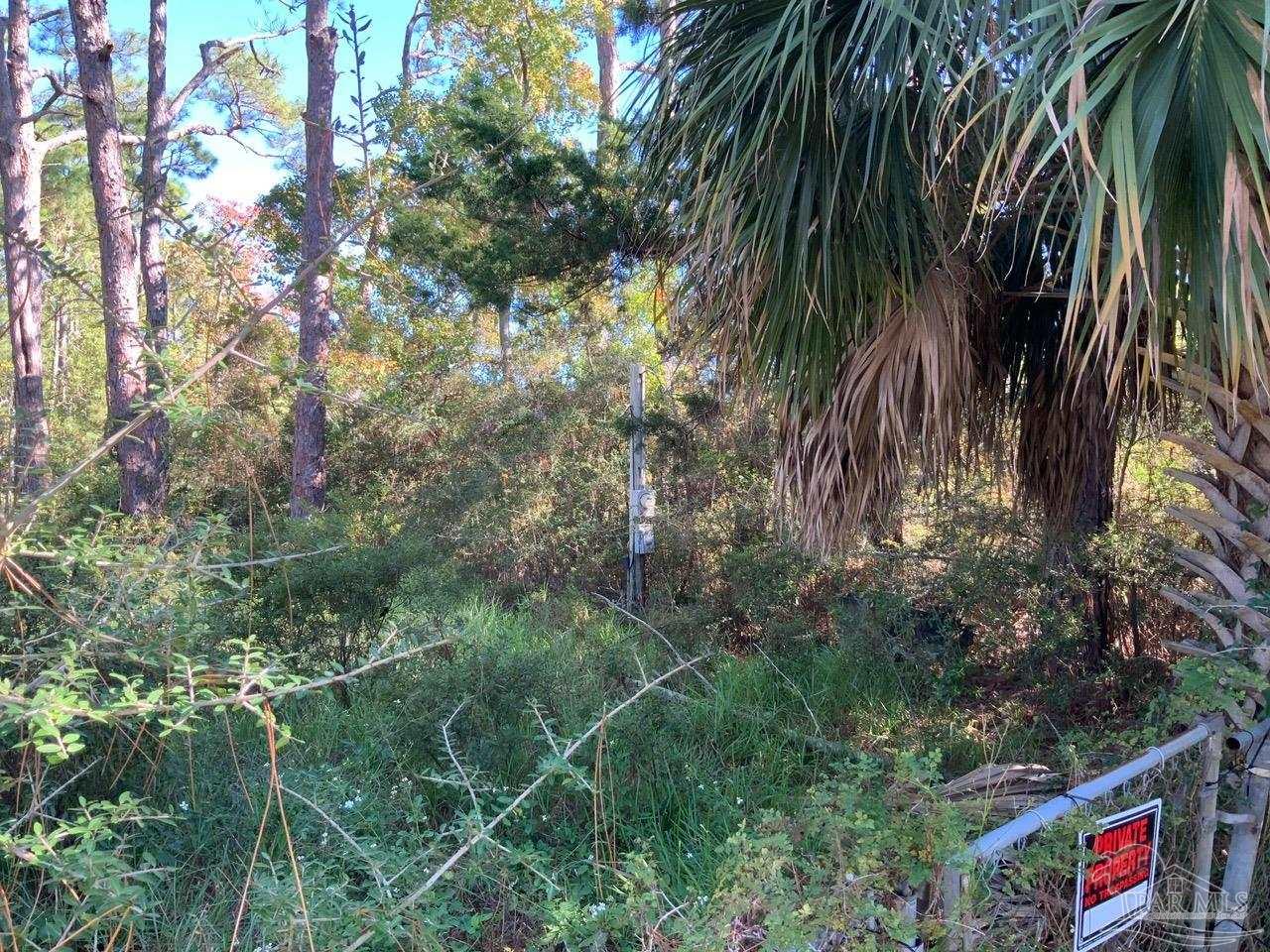 5520 Cruzat Way Pensacola, FL 32507 - Photo 12 of 15