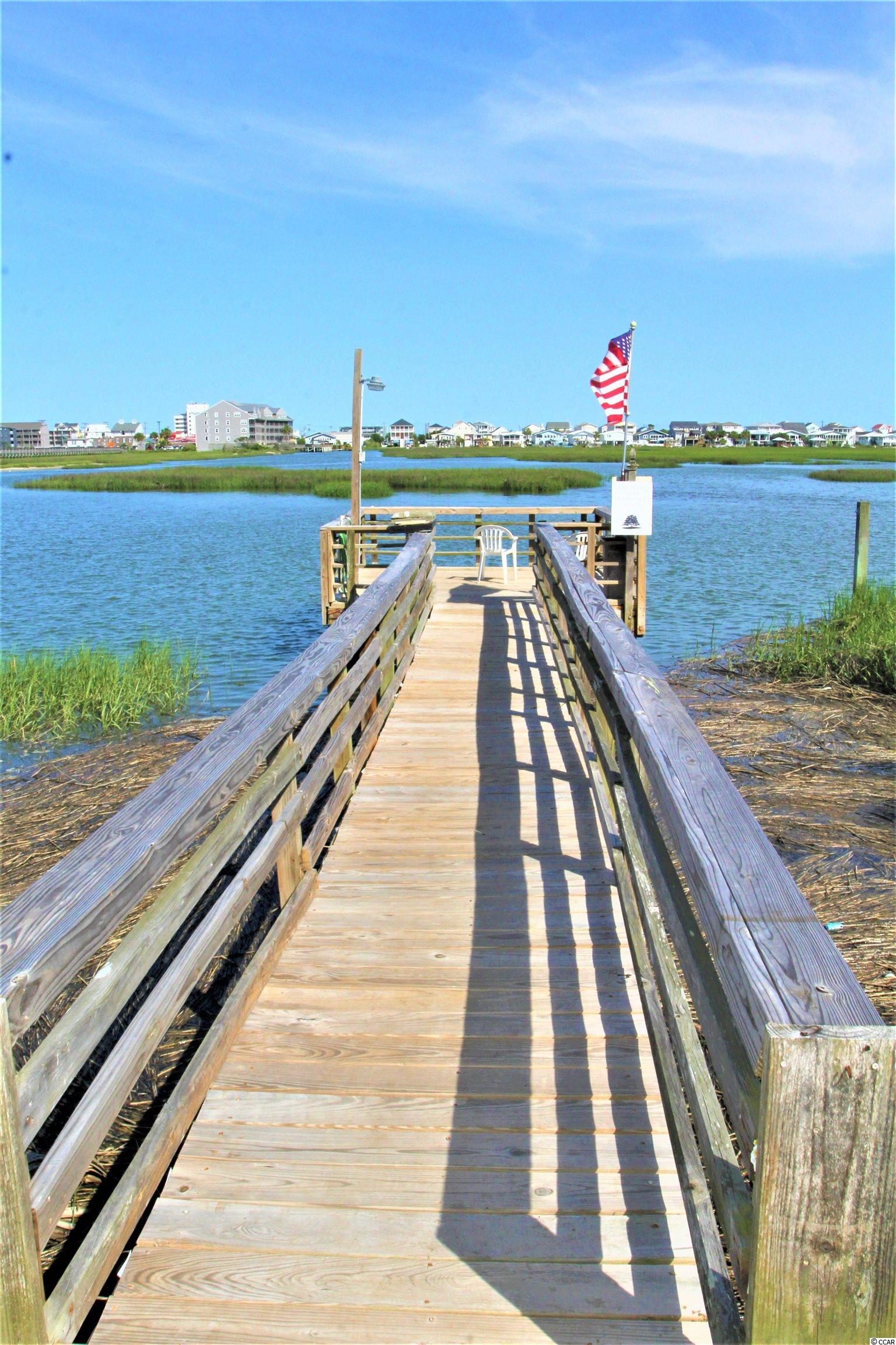 334 Yucca Circle Murrells Inlet, SC 29576 - Photo 29 of 33 Gallery Image 29