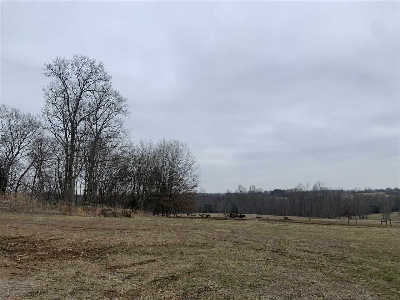 0 Trammel Road Scottsville, KY 42164 - Photo 8 of 8 Gallery Image 8