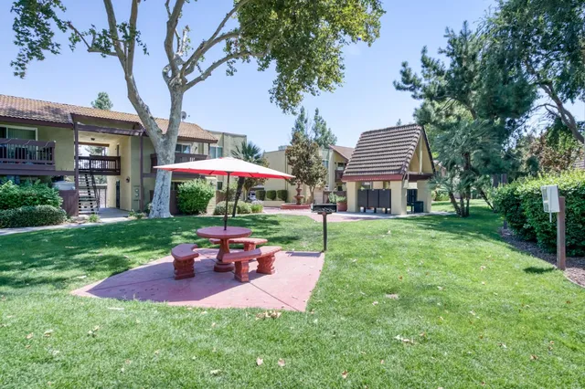 a view of a house with a yard and palm tree