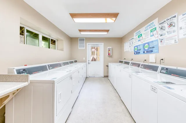 a park view with large trees