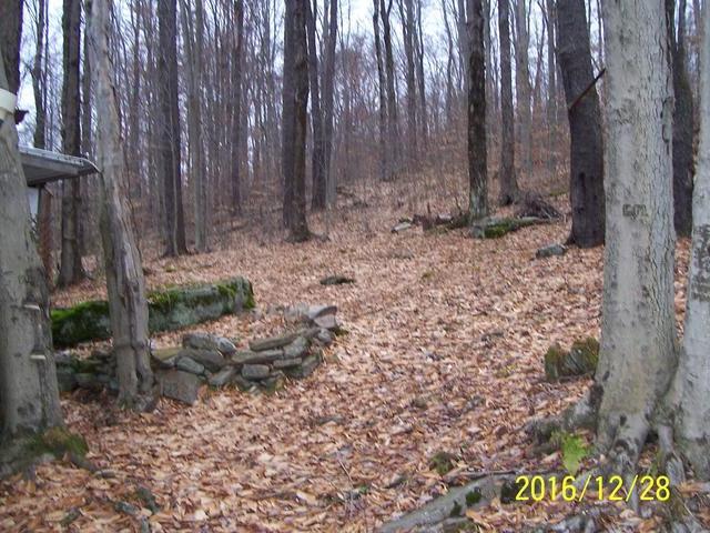 633 Bean Farm Road Sheffield, PA 16347 - Photo 4 of 13 Gallery Image 4