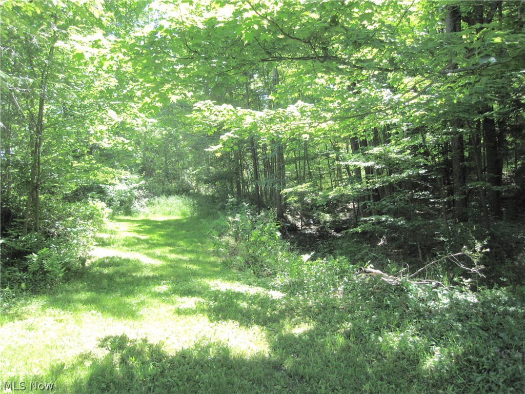 5 Pepper Ridge Road Cleveland, OH 44124 - Photo 33 of 33 View of walking trails surrounding property.