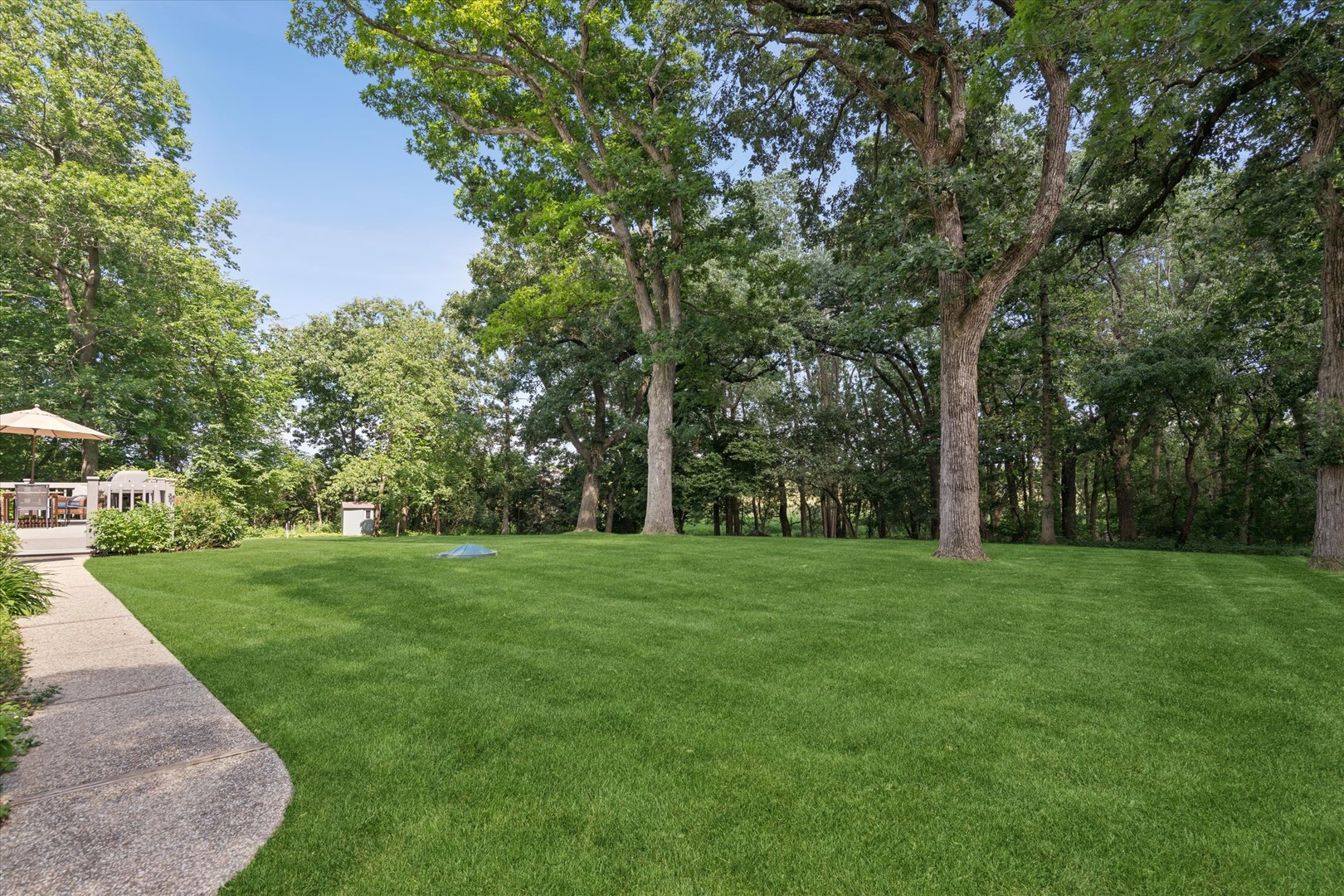 22801 Glenhurst Road Deer Park, IL 60010 - Photo 44 of 58