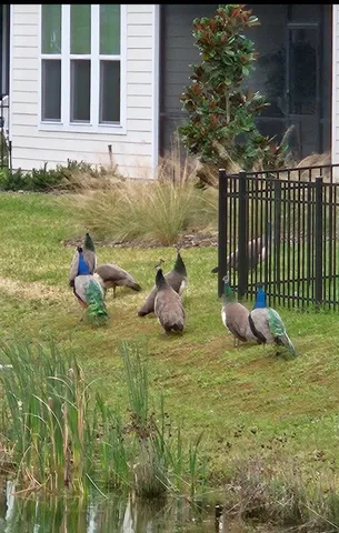 $775,000 | 92503 Shipton Lane, Fernandina Beach, FL 32034