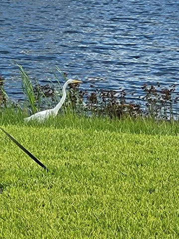 $775,000 | 92503 Shipton Lane, Fernandina Beach, FL 32034