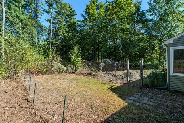 a view of a yard with plants