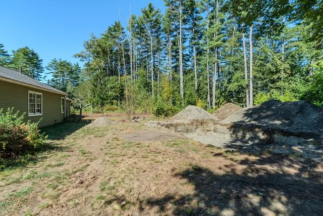 a view of backyard with green space