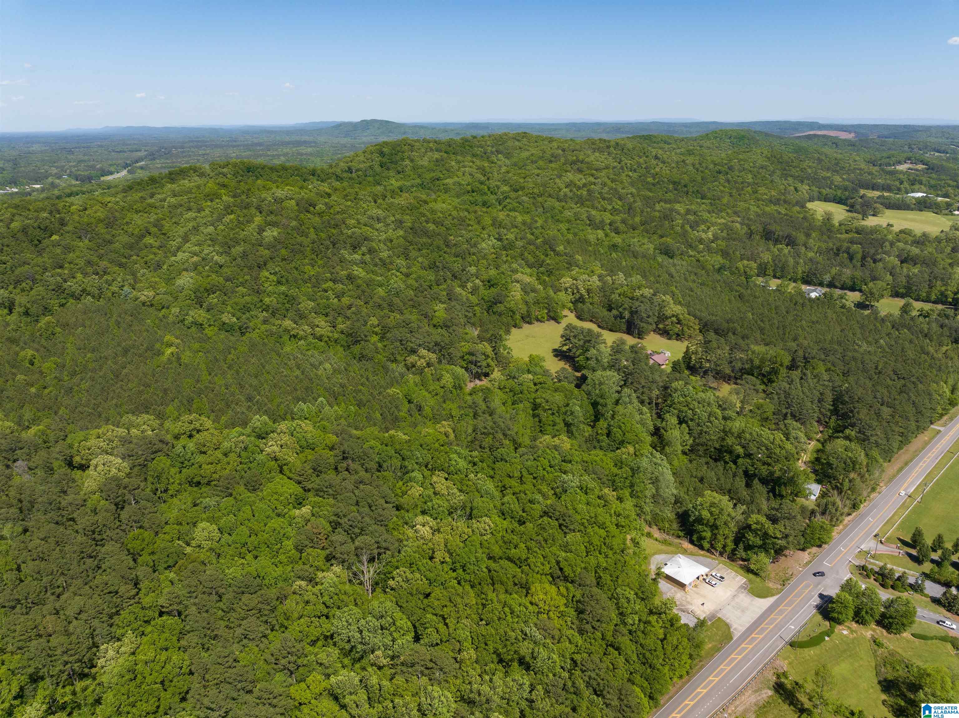 1649 Highway 174 Springville, AL 35146 - Photo 6 of 8