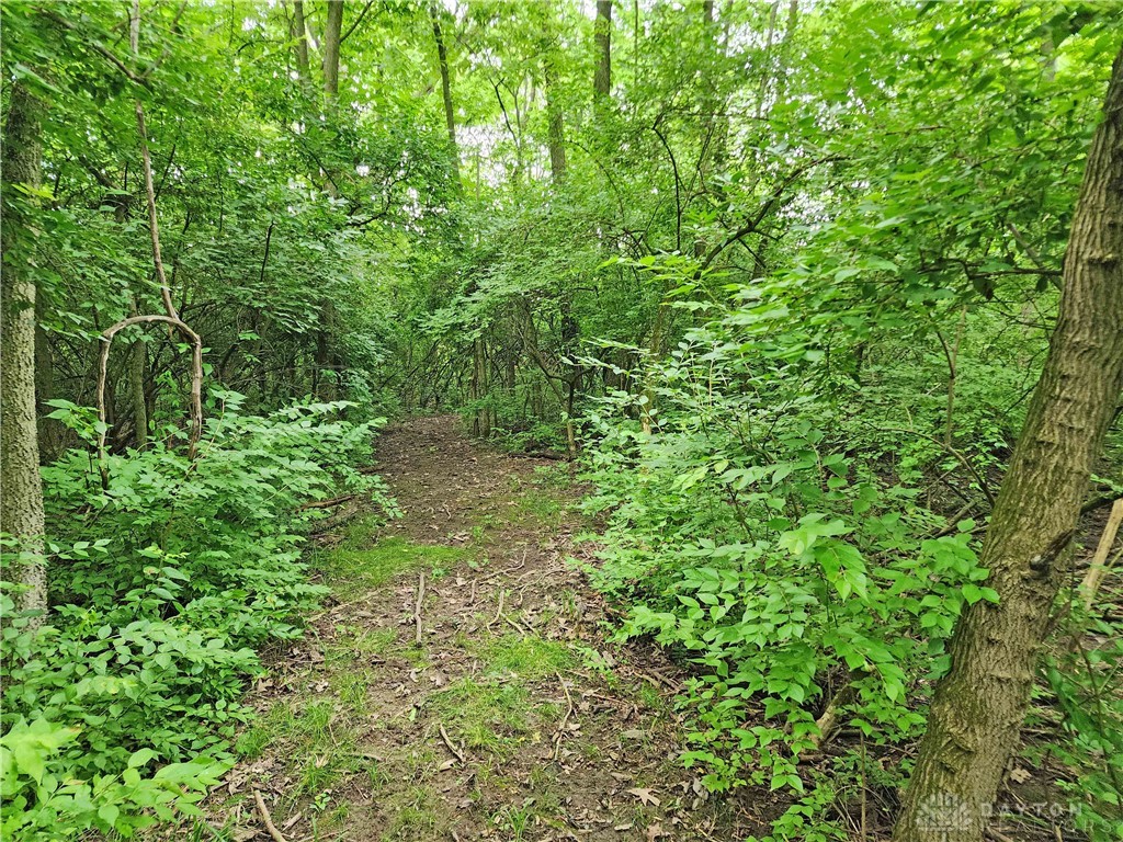 3 West Jackson Road Springfield, OH 45502 - Photo 6 of 9