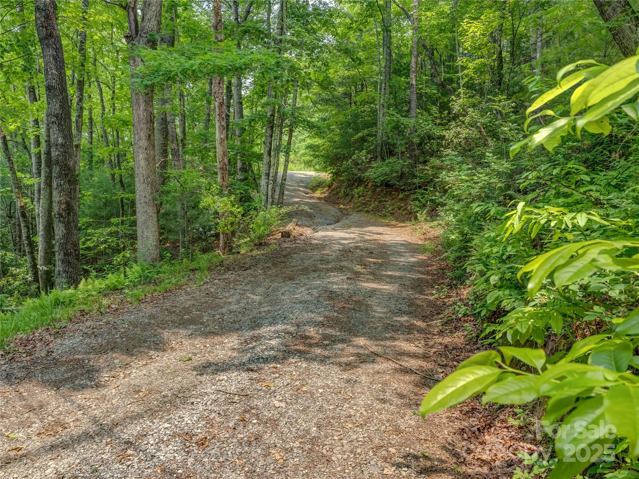 0 Israel Road Brevard, NC 28712 - Photo 2 of 17