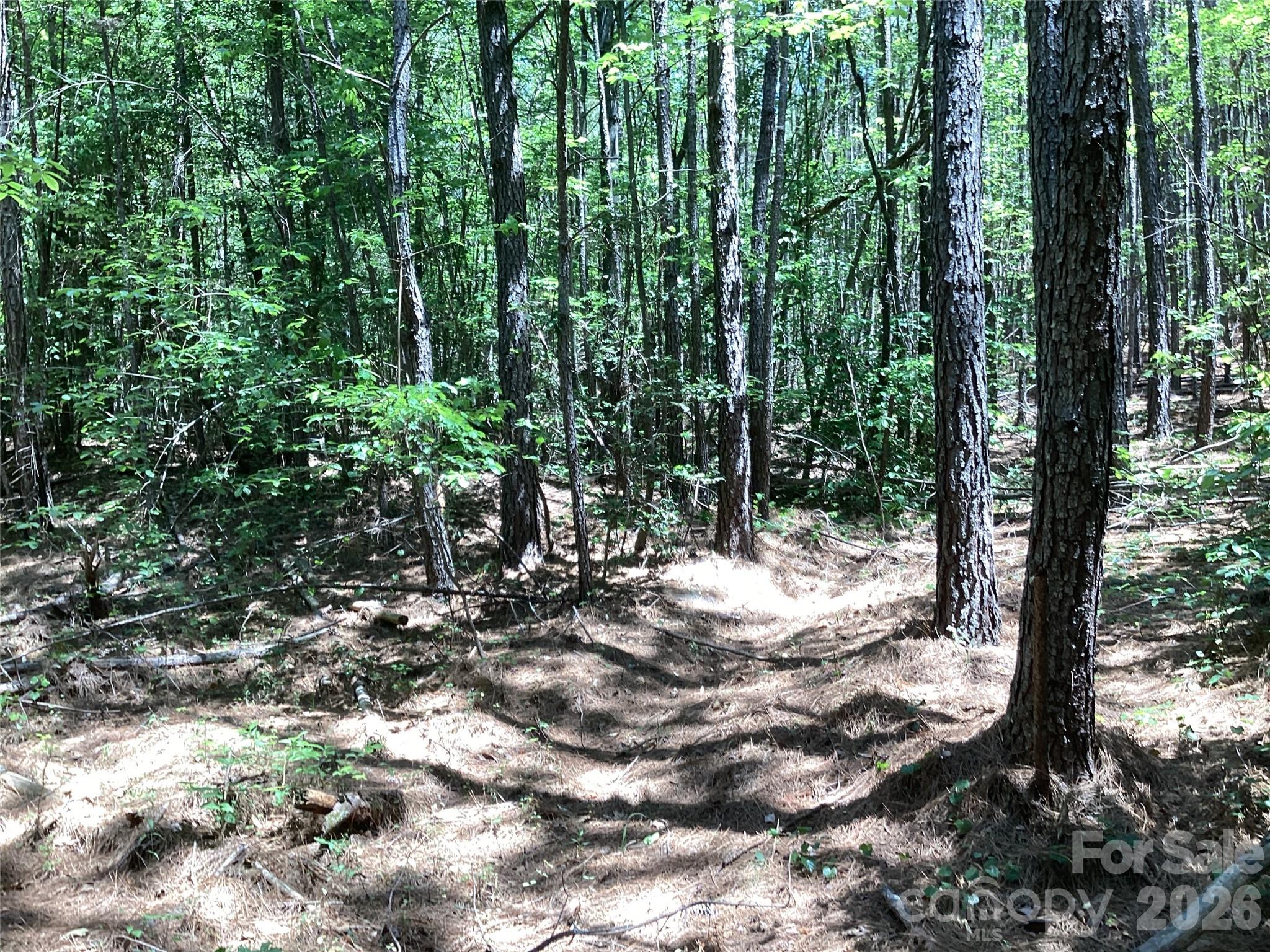 0 Powell Road Mill Spring, NC 28756 - Photo 19 of 22