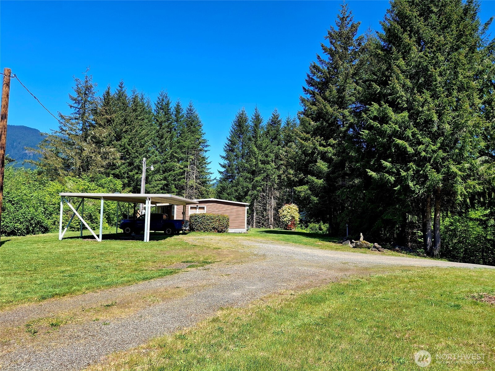 384 Peters Road Randle, WA 98377 - Photo 2 of 28