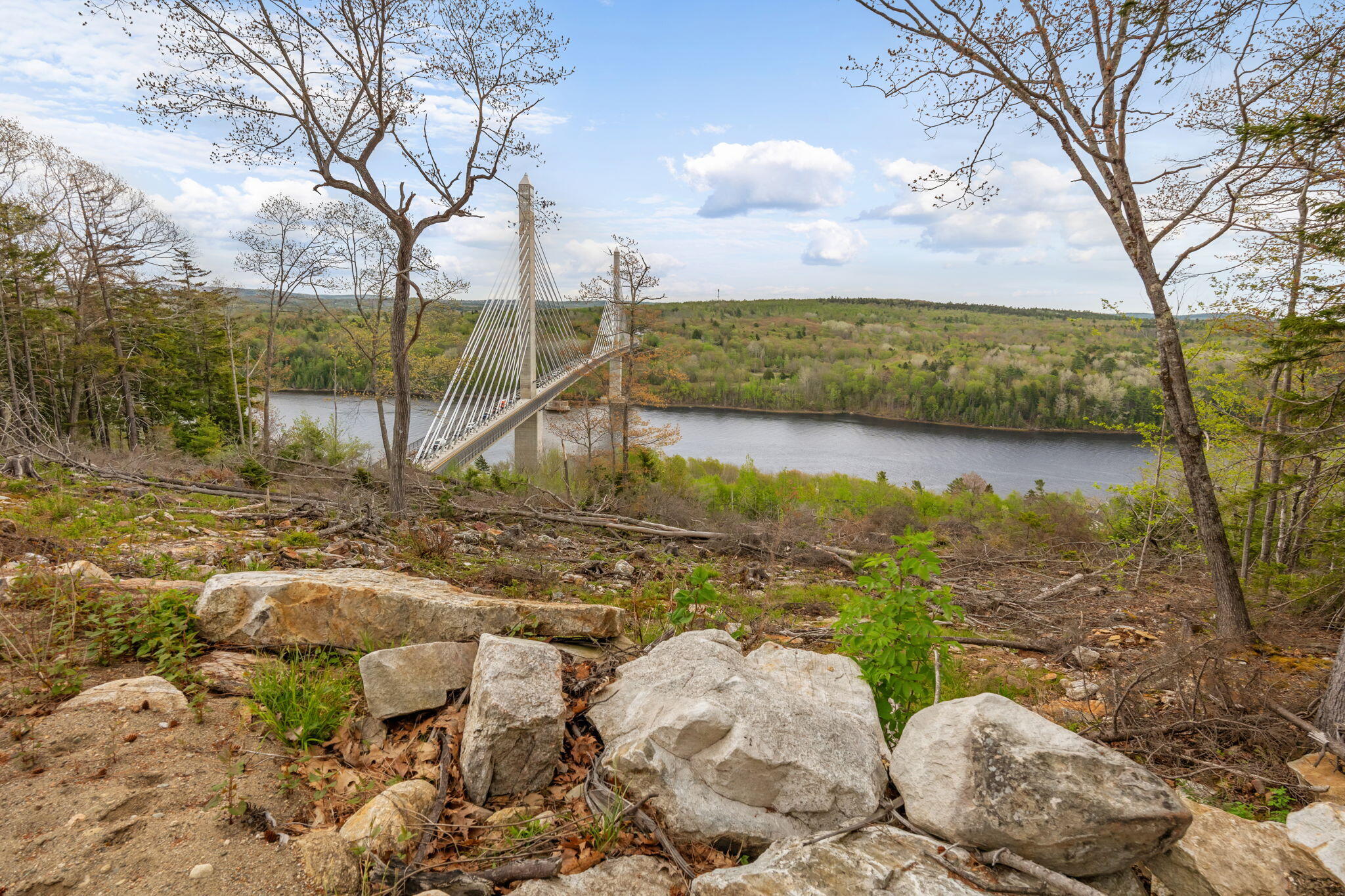 0 Switzer Spring Road Prospect, ME 04981 - Photo 7 of 25 6-web-or-mls-00-switzer-springs-rd