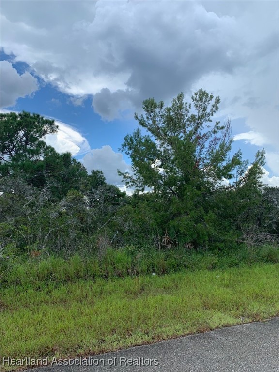 443 Detroit Road Lake Placid, FL 33852 - Photo 5 of 5 Gallery Image 5