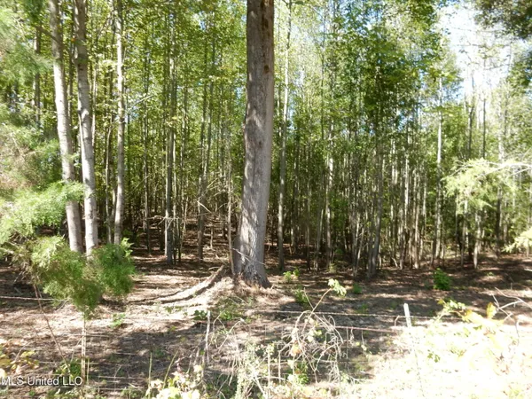 $89,500 | Lot 1 Cypress Corner Road, Senatobia, MS 38668