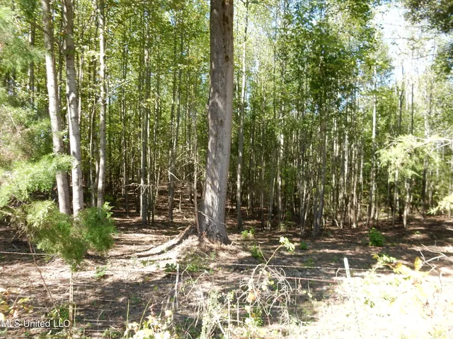 $89,500 | Lot 1 Cypress Corner Road, Senatobia, MS 38668