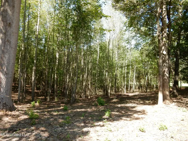 $89,500 | Lot 1 Cypress Corner Road, Senatobia, MS 38668