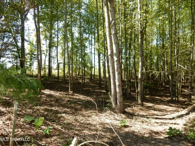 $89,500 | Lot 1 Cypress Corner Road, Senatobia, MS 38668