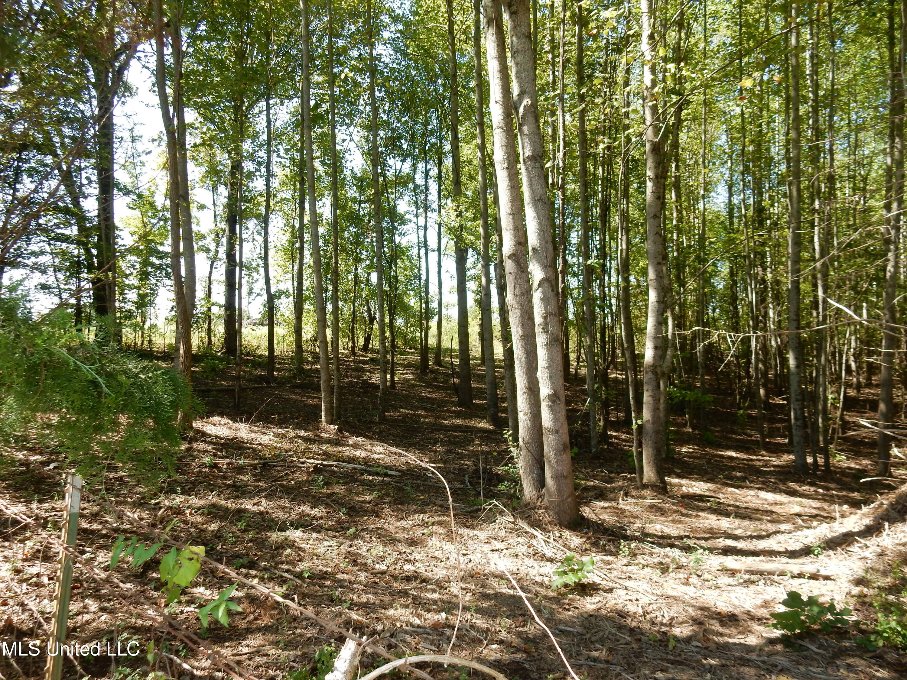 Lot 1 Cypress Corner Road Senatobia, MS 38668 - Photo 3 of 3 DSCN3087