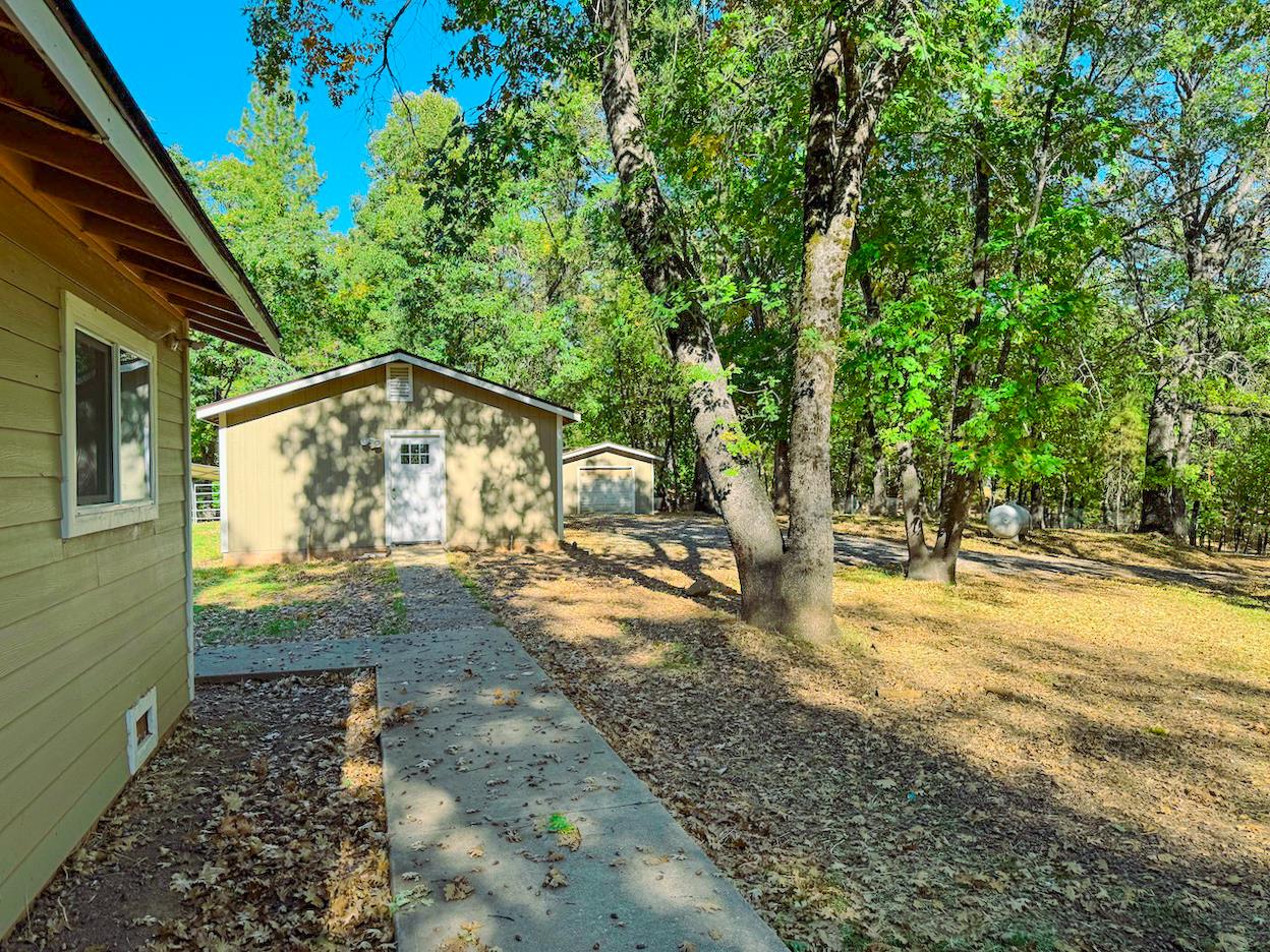 150 Centennial Mine Road West Point, CA 95255 - Photo 10 of 50