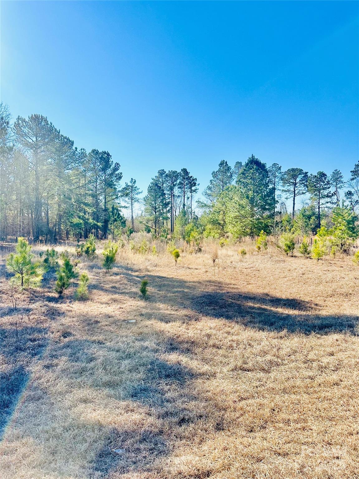 2361 State Rd S-28-87 Bethune, SC 29009 - Photo 3 of 3 Gallery Image 3