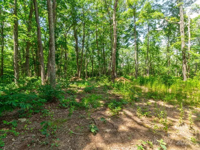 $795,000 | 68-77 & 92 Misty Dawn Cove, Unit 4A 5A & 13A, Hendersonville, NC 28792