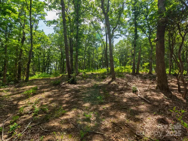 $795,000 | 68-77 & 92 Misty Dawn Cove, Unit 4A 5A & 13A, Hendersonville, NC 28792