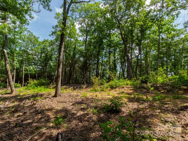 $795,000 | 68-77 & 92 Misty Dawn Cove, Unit 4A 5A & 13A, Hendersonville, NC 28792