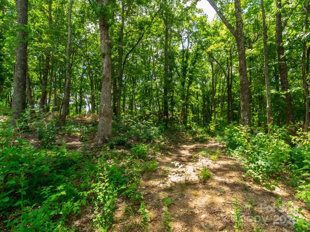 $795,000 | 68-77 & 92 Misty Dawn Cove, Unit 4A 5A & 13A, Hendersonville, NC 28792