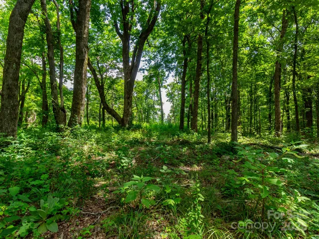 $795,000 | 68-77 & 92 Misty Dawn Cove, Unit 4A 5A & 13A, Hendersonville, NC 28792