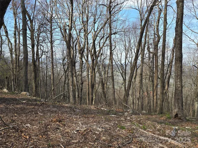 $795,000 | 68-77 & 92 Misty Dawn Cove, Unit 4A 5A & 13A, Hendersonville, NC 28792