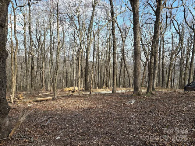 $795,000 | 68-77 & 92 Misty Dawn Cove, Unit 4A 5A & 13A, Hendersonville, NC 28792