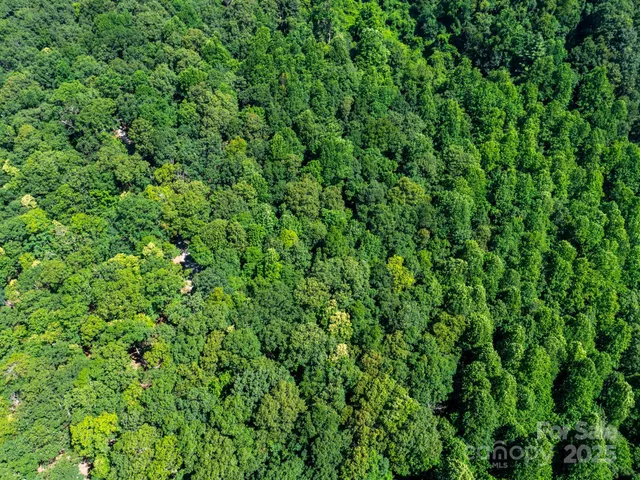 $795,000 | 68-77 & 92 Misty Dawn Cove, Unit 4A 5A & 13A, Hendersonville, NC 28792