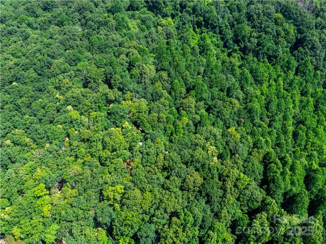 $795,000 | 68-77 & 92 Misty Dawn Cove, Unit 4A 5A & 13A, Hendersonville, NC 28792