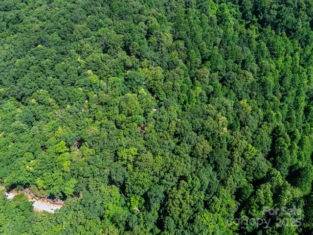 $795,000 | 68-77 & 92 Misty Dawn Cove, Unit 4A 5A & 13A, Hendersonville, NC 28792