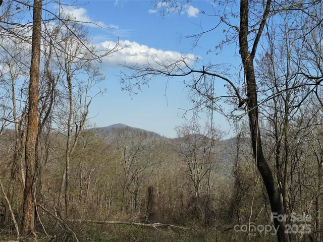 $795,000 | 68-77 & 92 Misty Dawn Cove, Unit 4A 5A & 13A, Hendersonville, NC 28792