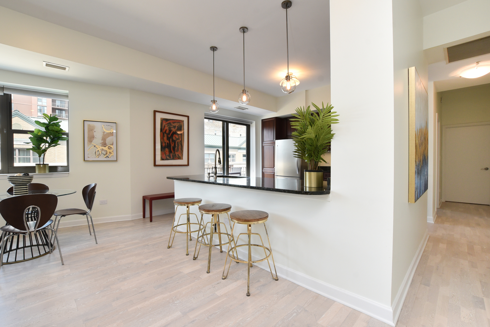 1133 South State Street, Unit 700 Chicago, IL 60605 - Photo 11 of 43